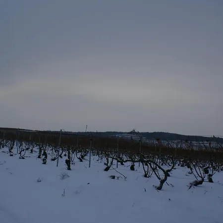 Entre Phare Et Moulin Verzenay